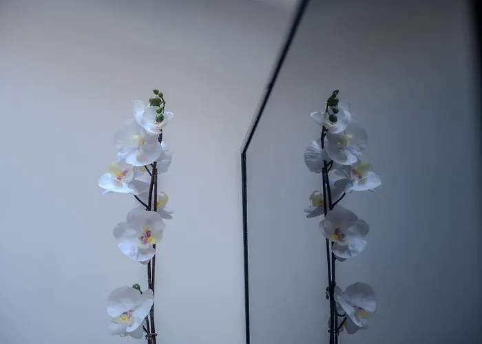 Red Mansarda * Виареджо