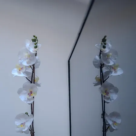 Red Mansarda * Βιαρέτζιο